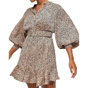 Anthropologie Cheetah Print Dress
